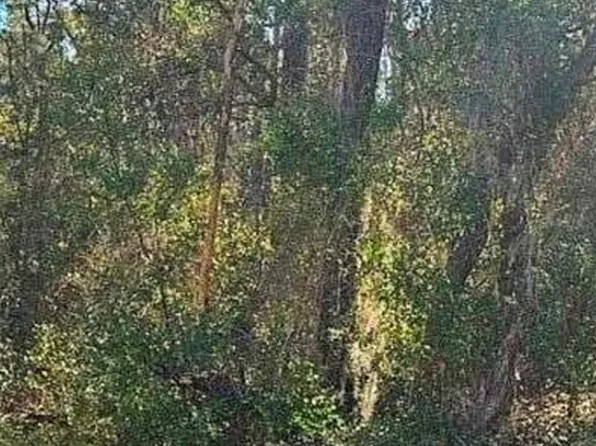 609 N Brighton Rd Lot 28, Lecanto, FL 34461