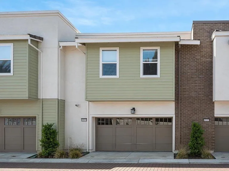 40689 Squill Cmn — Photo 18