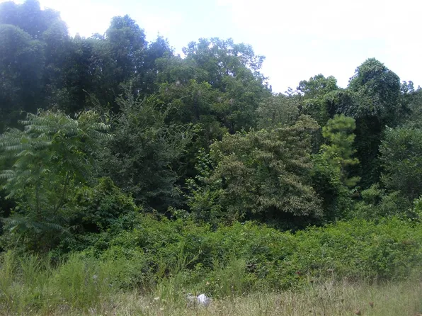 Mount Olive Rd, Decatur, AR 72722