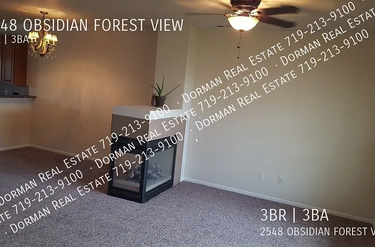 2548 Obsidian Forest Vw — Photo 4