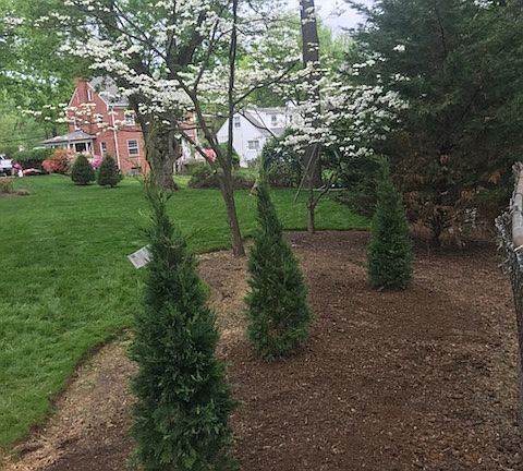 4th image of 8909 Kensington Pkwy