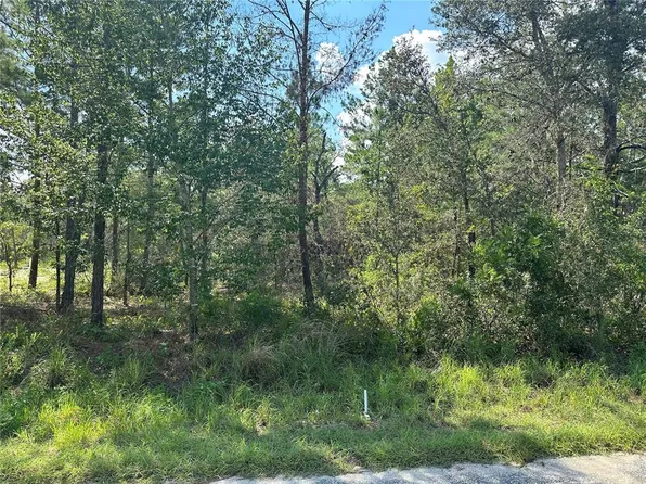 Guava Pass #6, Ocklawaha, FL 32179