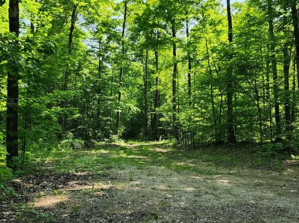 80 Trophy Ln, Hessel, MI 49745