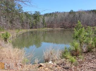 1675 Pleasant Valley Rd, Molena, GA 30258