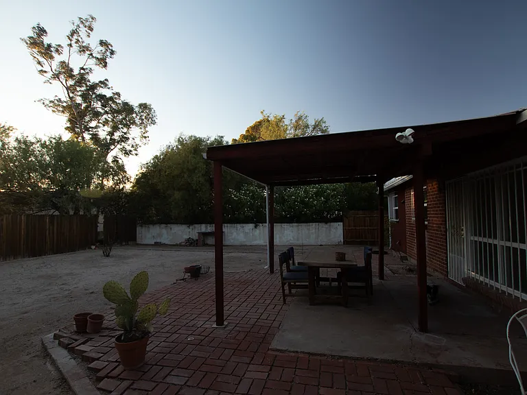 Back Yard