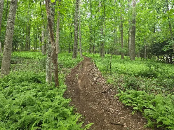 Starmount Ln, Galax, VA 24333