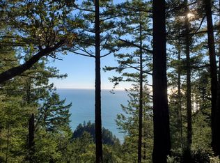 1040 Hillside Dr, Whitethorn, CA 95589