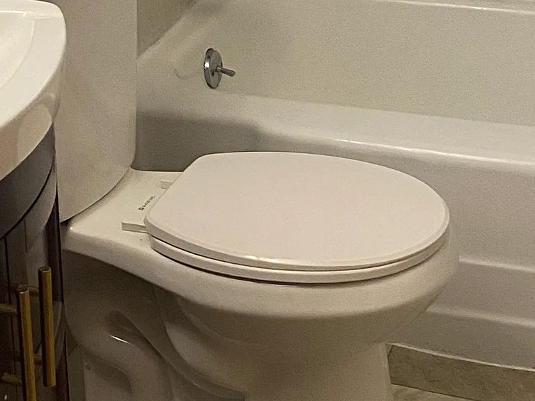 Main Bathroom New Toilet