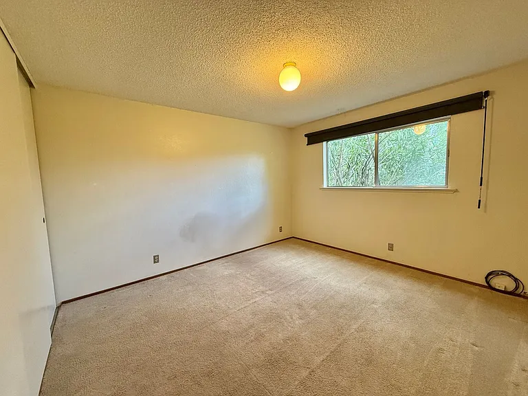 194 Wedgewood Ave — Photo 15