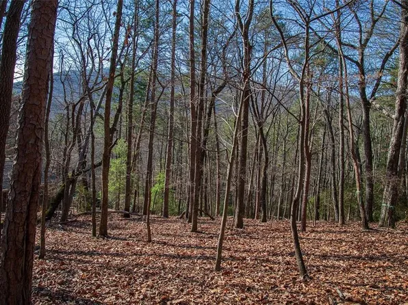 6094 Yellow Root Dr, Jasper, GA 30143