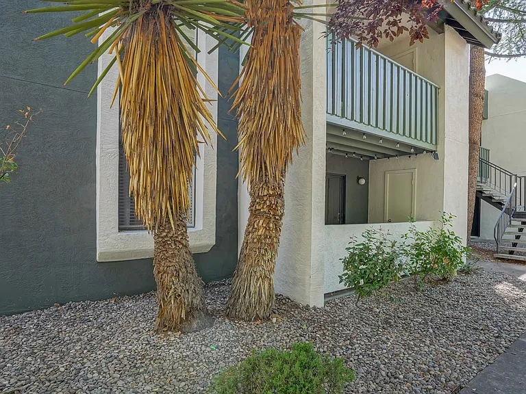 Treehouse Apartment Exterior