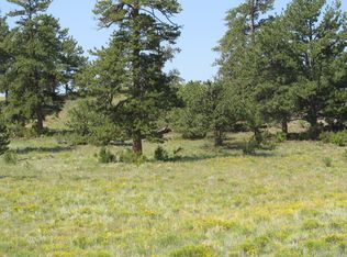 Arikara Trl LOT 5087, Hartsel, CO 80449