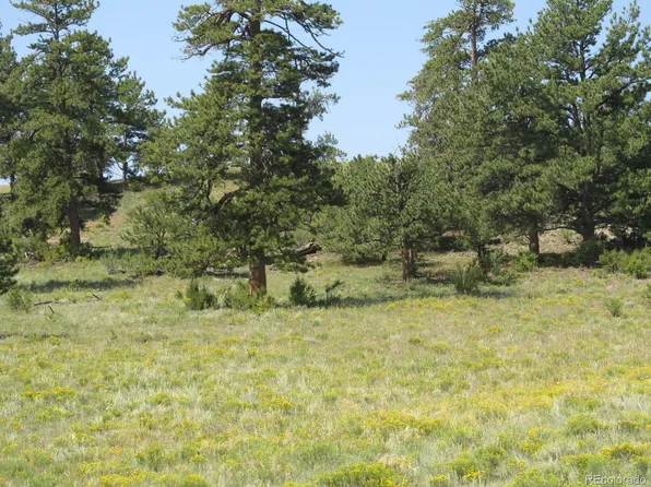 Arikara Trail LOT 5087, Hartsel, CO 80449