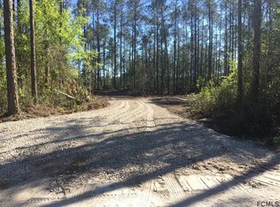 4389 Walnut Ave, Bunnell, FL 32110