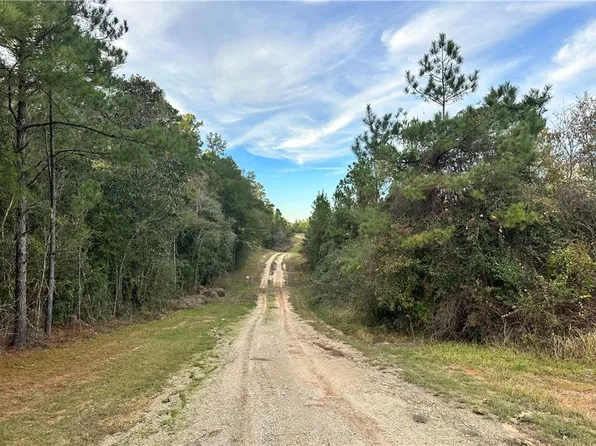 0 Lott Rd #1, Chunchula, AL 36521