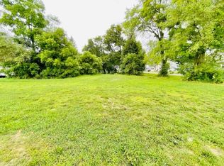 LOT 1 Ionia St, Lake Odessa, MI 48849
