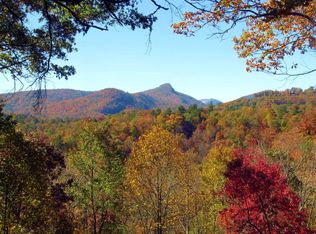 645 Black Oak Dr, Sapphire, NC 28774
