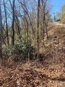 Lots 62&63 Oak Laurel Rd #62-63, Brevard, NC, 28712