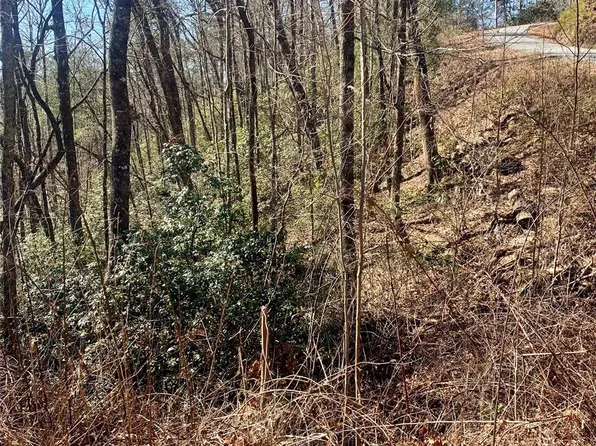 Lots 62&63 Oak Laurel Rd #62-63, Brevard, NC 28712