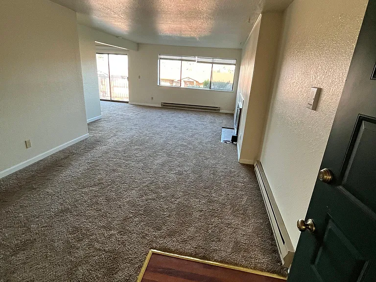 Wood entry into huge living room