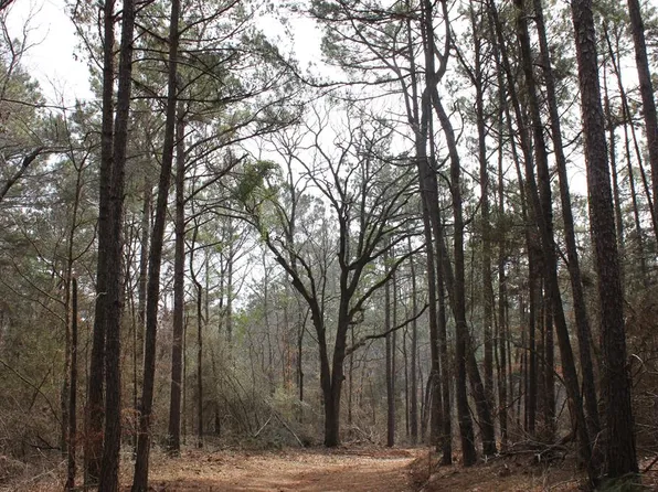 Pid 5880 Fm #225, Douglass, TX 75943