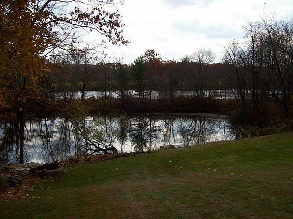 View of Rear Yard