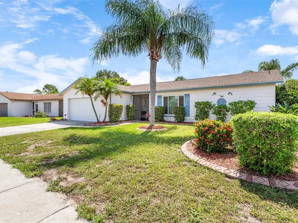 11223 Fiddlewood Dr, Riverview, FL 33579