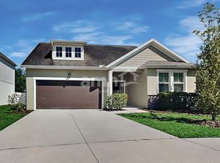 7918 Stumble Journey Ln, Tampa, FL 33619
