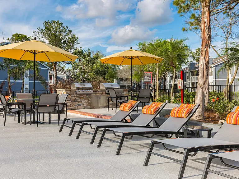 Northgreen at Carrollwood — Photo 29