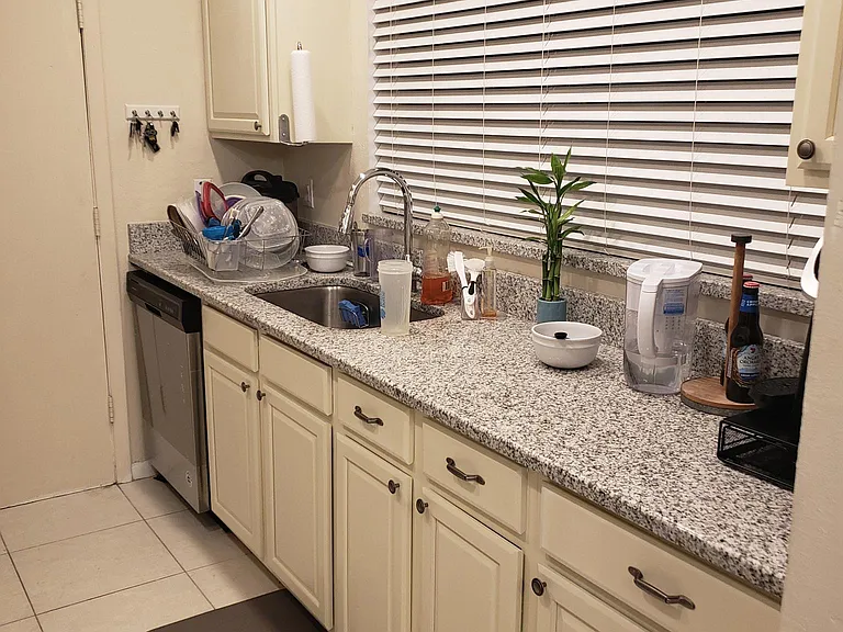 11899 Raintree Dr — Photo 7