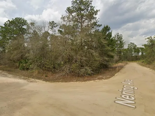 LOT 18 Wallace St Lot 18, Interlachen, FL 32148