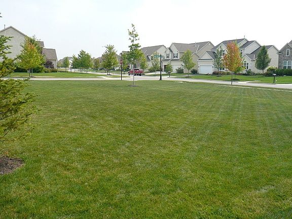 3rd image of 3514 Windy Forest Ln