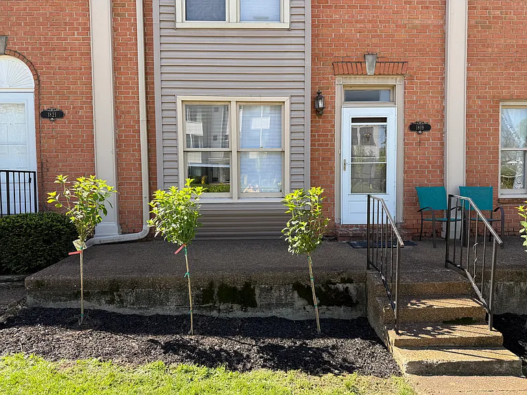 1819 Wedgewood Ave — Photo 18