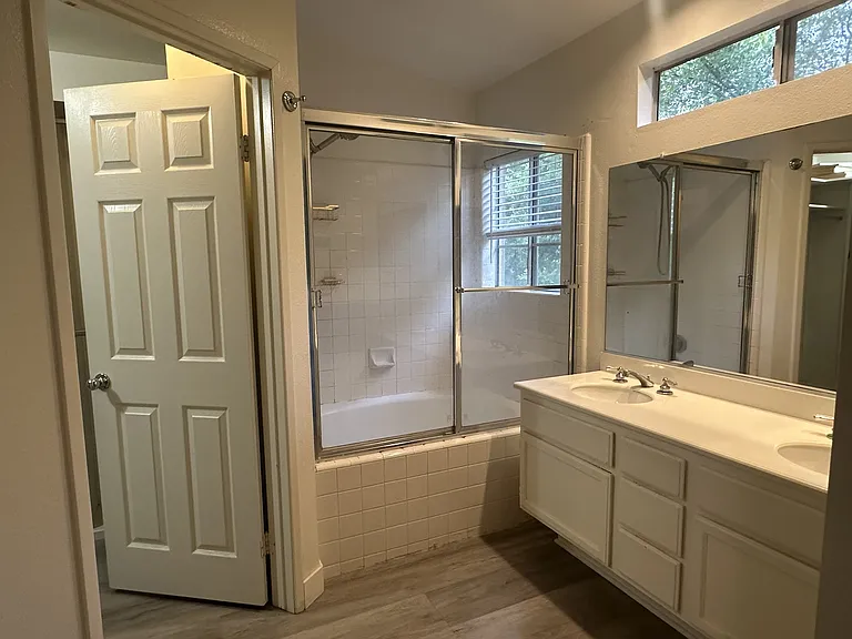 Master Suite Bathroom (the door leads to the walk-in closet)