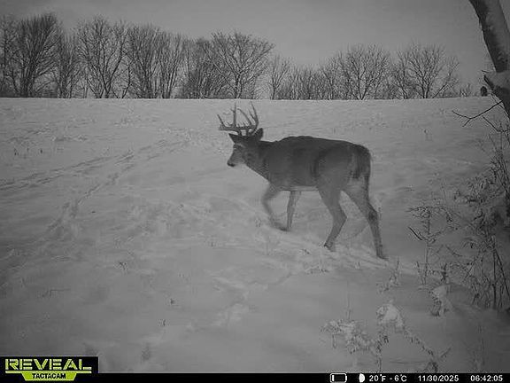 4th image of 17797 Dayton Ridge Road
