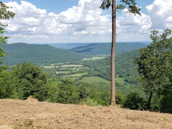 0 Browns Trace Rd, South Pittsburg, TN 37380