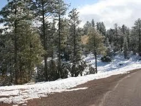 3378 Windy Ln, Heber, AZ 85928