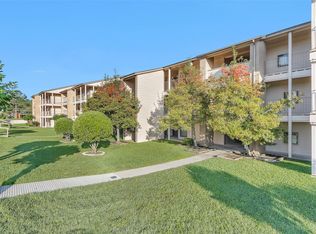 306D Lakeview Ter #306D, Montgomery, TX 77356