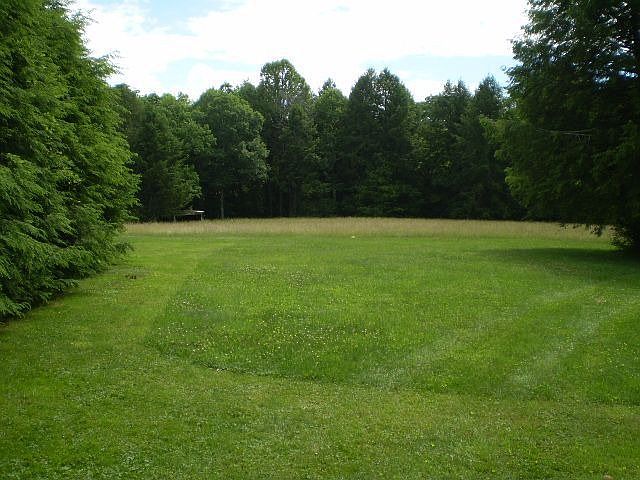 Open Fields