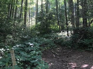 1221 Taylor Trl, Hiawassee, GA 30546