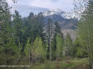 NULL-L31B4 Cutthroat Run, Irwin, ID 83428