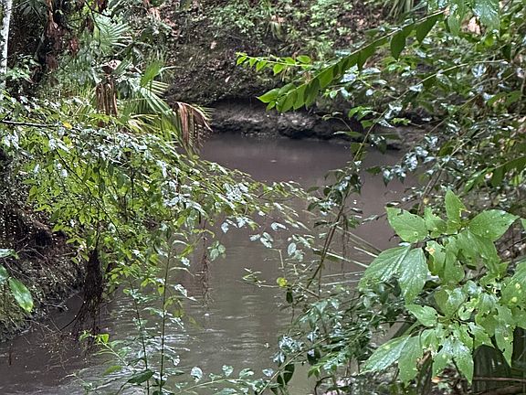 Creek on edge of complex