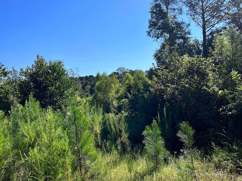 0 Forrest Kay Rd, Bernice, LA 71222 MLS 207005 Zillow