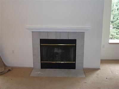 Fireplace in living room