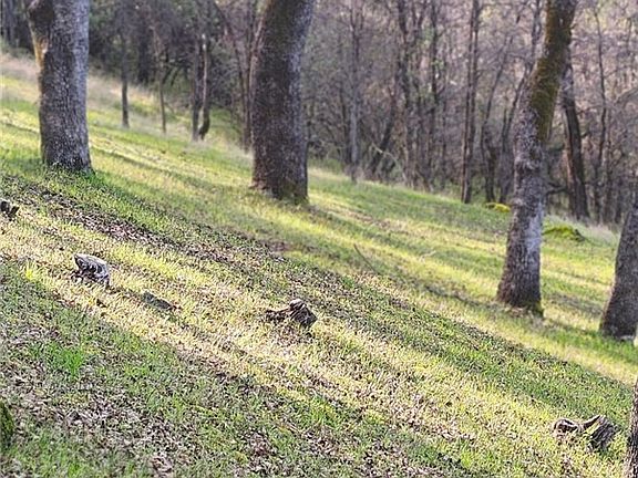 2nd image of 13566 Helltown Rd Parcel 2