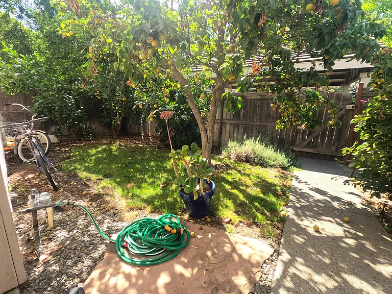 4614 Cowell Blvd — Photo 9