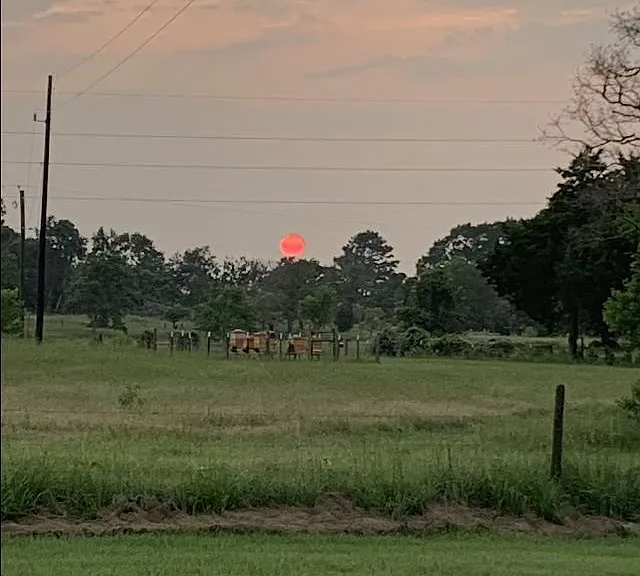 Front porch view. Nice sunset. View of honey bee apiary a few acres away on front of property.
