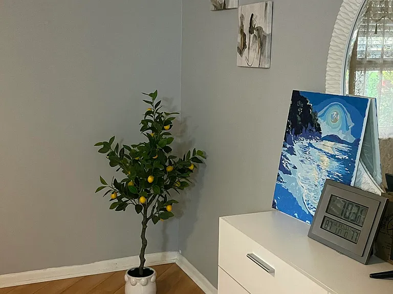 8744 Bella Vista Dr — Photo 20