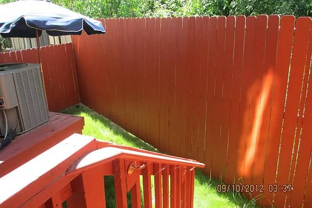 Back yard