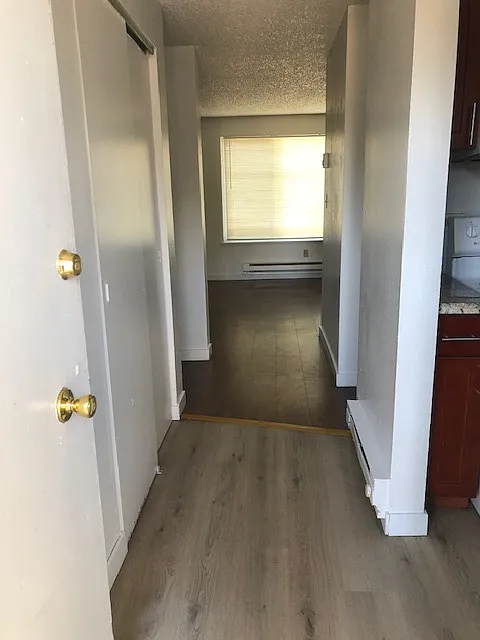 2 bed, 850 sqft, $1,600 — Photo 2
